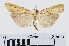  ( - RMNH.INS.539058)  @14 [ ] Unspecified (default): All Rights Reserved  Unspecified Unspecified