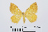  ( - RMNH.INS.540624)  @13 [ ] Unspecified (default): All Rights Reserved  Unspecified Unspecified