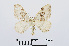  ( - RMNH.INS.540639)  @13 [ ] Unspecified (default): All Rights Reserved  Unspecified Unspecified