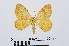  ( - RMNH.INS.540643)  @13 [ ] Unspecified (default): All Rights Reserved  Unspecified Unspecified