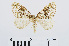  ( - RMNH.INS.540687)  @13 [ ] Unspecified (default): All Rights Reserved  Unspecified Unspecified