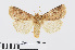  ( - RMNH.INS.540690)  @14 [ ] Unspecified (default): All Rights Reserved  Unspecified Unspecified