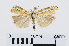  ( - RMNH.INS.540723)  @13 [ ] Unspecified (default): All Rights Reserved  Unspecified Unspecified