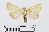  ( - RMNH.INS.540764)  @13 [ ] Unspecified (default): All Rights Reserved  Unspecified Unspecified