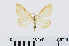  ( - RMNH.INS.540781)  @13 [ ] CreativeCommons - Attribution Non-Commercial Share-Alike (2014) Unspecified Naturalis, Biodiversity Centre