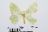  ( - RMNH.INS.540816)  @13 [ ] Unspecified (default): All Rights Reserved  Unspecified Unspecified