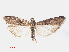  ( - RMNH.INS.540825)  @14 [ ] Unspecified (default): All Rights Reserved  Unspecified Unspecified
