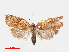  ( - RMNH.INS.540877)  @14 [ ] Unspecified (default): All Rights Reserved  Unspecified Unspecified
