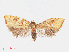  ( - RMNH.INS.540896)  @14 [ ] Unspecified (default): All Rights Reserved  Unspecified Unspecified