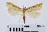  ( - RMNH.INS.540904)  @12 [ ] Unspecified (default): All Rights Reserved  Unspecified Unspecified