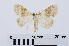  ( - RMNH.INS.540961)  @12 [ ] Unspecified (default): All Rights Reserved  Unspecified Unspecified