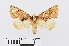  ( - RMNH.INS.540979)  @13 [ ] Unspecified (default): All Rights Reserved  Unspecified Unspecified