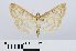  ( - RMNH.INS.540998)  @14 [ ] Unspecified (default): All Rights Reserved  Unspecified Unspecified
