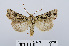  ( - RMNH.INS.541007)  @14 [ ] Unspecified (default): All Rights Reserved  Unspecified Unspecified