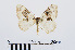  ( - RMNH.INS.541018)  @13 [ ] Unspecified (default): All Rights Reserved  Unspecified Unspecified