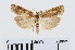  ( - RMNH.INS.544378)  @14 [ ] Unspecified (default): All Rights Reserved  Unspecified Unspecified