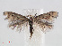  ( - RMNH.INS.540942)  @14 [ ] Unspecified (default): All Rights Reserved  Unspecified Unspecified