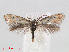  ( - RMNH.INS.540945)  @14 [ ] Unspecified (default): All Rights Reserved  Unspecified Unspecified