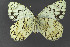  ( - KBE 2018544)  @14 [ ] CreativeCommons - Attribution Non-Commercial Share-Alike (2019) Unspecified University of Oslo, Natural History Museum