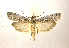  ( - KBE 2018766)  @11 [ ] Copyright (2019) Leif Aarvik University of Oslo, Natural History Museum