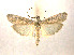  ( - KBE 2018767)  @11 [ ] Copyright (2019) Leif Aarvik University of Oslo, Natural History Museum