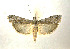  ( - KBE 2018768)  @11 [ ] Copyright (2019) Leif Aarvik University of Oslo, Natural History Museum