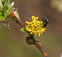  ( - KBE 2019017)  @12 [ ] Copyright (2019) Frank Strømmen Unspecified