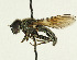  ( - KBE 2019027)  @14 [ ] Creative Commons  Attribution Non-Commercial Share-Alike (2019) Kai Berggren NTNU University Museum, Department of Natural History
