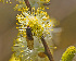 ( - KBE 2019028)  @11 [ ] Copyright (2019) Frank Strømmen Unspecified