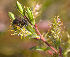  ( - KBE 2019029)  @12 [ ] Copyright (2019) Frank Strømmen Unspecified