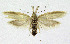  ( - KBE 2019094)  @11 [ ] Creative Commons  Attribution Non-Commercial Share-Alike (2019) Kai Berggren NTNU University Museum, Department of Natural History