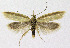  ( - KBE 2019095)  @11 [ ] Creative Commons  Attribution Non-Commercial Share-Alike (2019) Kai Berggren NTNU University Museum, Department of Natural History