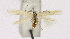  ( - KBE 2019126)  @13 [ ] Creative Commons  Attribution Non-Commercial Share-Alike (2019) Kai Berggren NTNU University Museum, Department of Natural History
