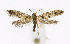 ( - KBE 2019140)  @11 [ ] Creative Commons  Attribution Non-Commercial Share-Alike (2019) Kai Berggren NTNU University Museum, Department of Natural History