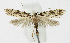  ( - KBE 2019147)  @11 [ ] Creative Commons  Attribution Non-Commercial Share-Alike (2019) Kai Berggren NTNU University Museum, Department of Natural History