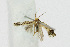  ( - KBE 2019243)  @11 [ ] Creative Commons  Attribution Non-Commercial Share-Alike (2019) Kai Berggren NTNU University Museum, Department of Natural History