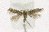  ( - KBE 2019255)  @11 [ ] Creative Commons  Attribution Non-Commercial Share-Alike (2019) Kai Berggren NTNU University Museum, Department of Natural History
