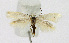  ( - KBE 2019273)  @11 [ ] Creative Commons  Attribution Non-Commercial Share-Alike (2019) Kai Berggren NTNU University Museum, Department of Natural History