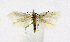  ( - KBE 2019278)  @11 [ ] Creative Commons  Attribution Non-Commercial Share-Alike (2019) Kai Berggren NTNU University Museum, Department of Natural History