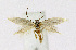  ( - KBE 2019280)  @11 [ ] Creative Commons  Attribution Non-Commercial Share-Alike (2019) Kai Berggren NTNU University Museum, Department of Natural History