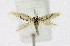  ( - KBE 2019281)  @11 [ ] Creative Commons  Attribution Non-Commercial Share-Alike (2019) Kai Berggren NTNU University Museum, Department of Natural History