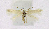  ( - KBE 2019299)  @13 [ ] Creative Commons  Attribution Non-Commercial Share-Alike (2019) Kai Berggren NTNU University Museum, Department of Natural History