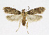  ( - KBE 2019320)  @11 [ ] Creative Commons  Attribution Non-Commercial Share-Alike (2019) Kai Berggren NTNU University Museum, Department of Natural History