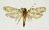  ( - KBE 2019322)  @11 [ ] Creative Commons  Attribution Non-Commercial Share-Alike (2019) Kai Berggren NTNU University Museum, Department of Natural History