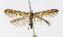 ( - KBE 2019338)  @11 [ ] Creative Commons  Attribution Non-Commercial Share-Alike (2019) Kai Berggren NTNU University Museum, Department of Natural History