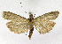  ( - KBE 2019510)  @11 [ ] Creative Commons  Attribution Non-Commercial Share-Alike (2019) Kai Berggren NTNU University Museum, Department of Natural History
