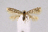  ( - KBE 2020023)  @11 [ ] CreativeCommons Attribution NonCommercial ShareAlike (2020) Kai Berggren NTNU University Museum, Department of Natural History
