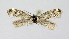  ( - KBE 2020072)  @11 [ ] CreativeCommons Attribution NonCommercial ShareAlike (2020) Kai Berggren NTNU University Museum, Department of Natural History