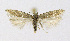  ( - KBE 2021056)  @11 [ ] Creative Commons  Attribution Non-Commercial Share-Alike (2021) Kai Berggren NTNU University Museum, Department of Natural History
