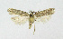  ( - KBE 2021081)  @11 [ ] Creative Commons  Attribution Non-Commercial Share-Alike (2021) Kai Berggren NTNU University Museum, Department of Natural History